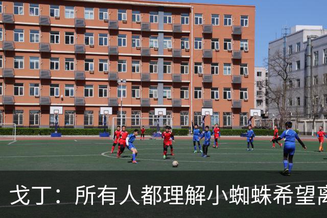 戈丁：所有人都理解小蜘蛛希望离队的想法，但他的处理方式做错了